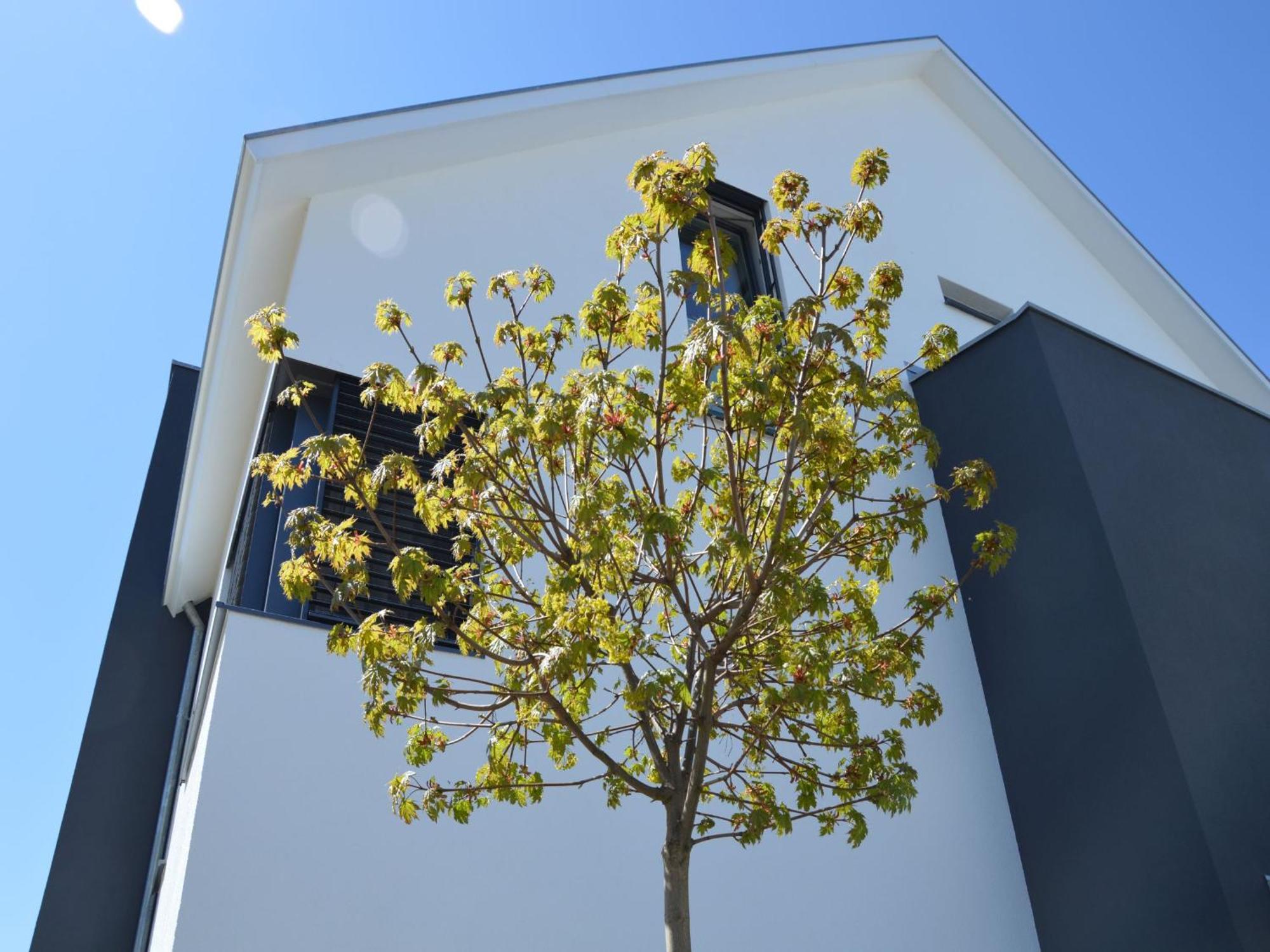 Kapps Haus Apartment ลังเงนาร์เงน ภายนอก รูปภาพ